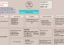 design flashcards and notes for students